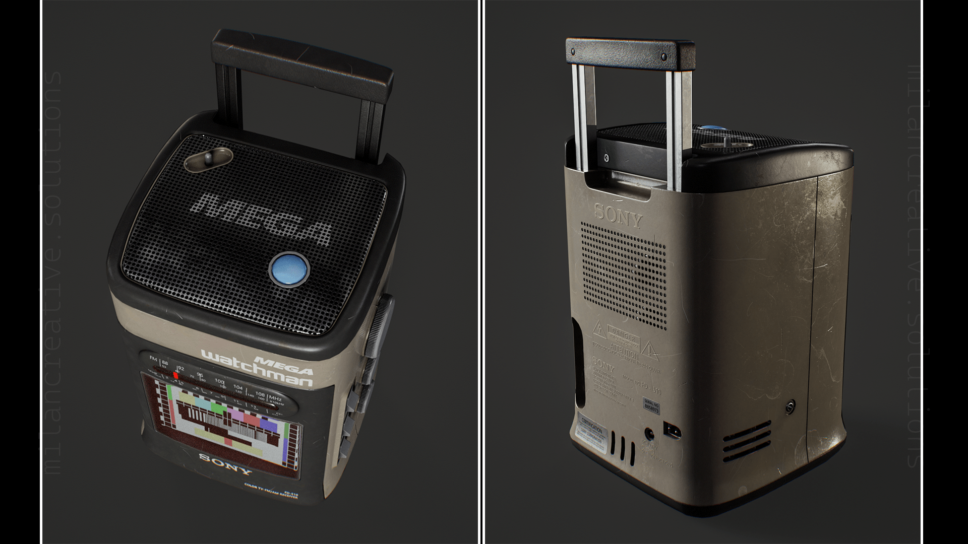 Sony WatchMan FD-510